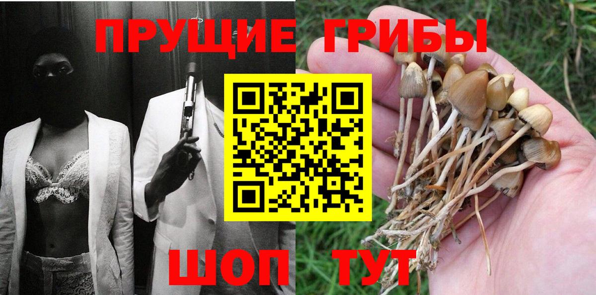 Баксан  Галлюциногенные грибы GOLDEN TEACHER  Вход с VPN 