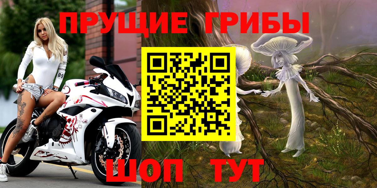 Галлюциногенные грибы Psilocybe Баксан